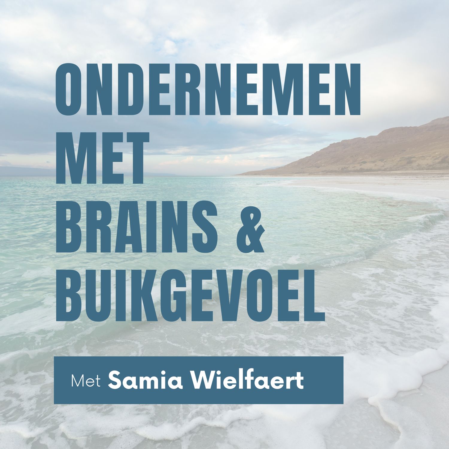 Ondernemen met Brains & Buikgevoel